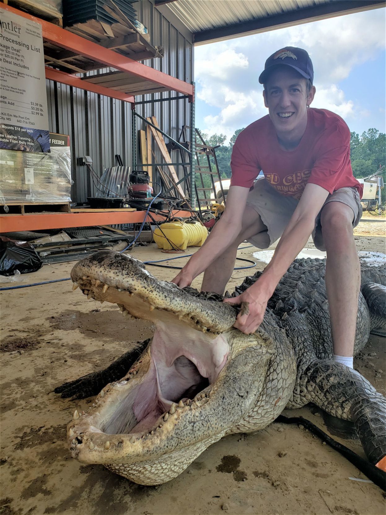 gator 4